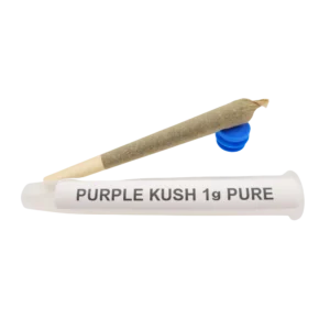 Bastão de infusão Kush roxo