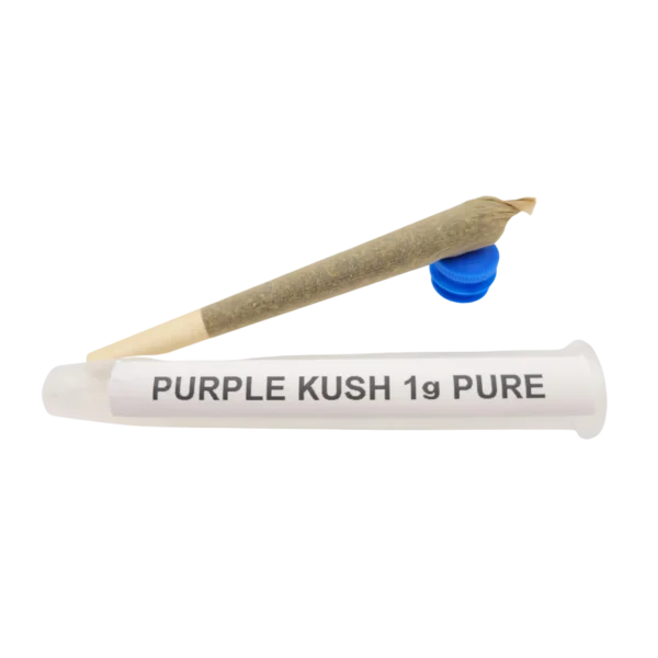 Bastão de infusão Kush roxo