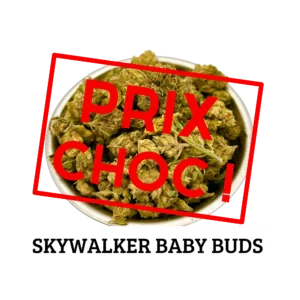 SKYWALKER – BABY BUDS Culture Indoor CBD Switzerland