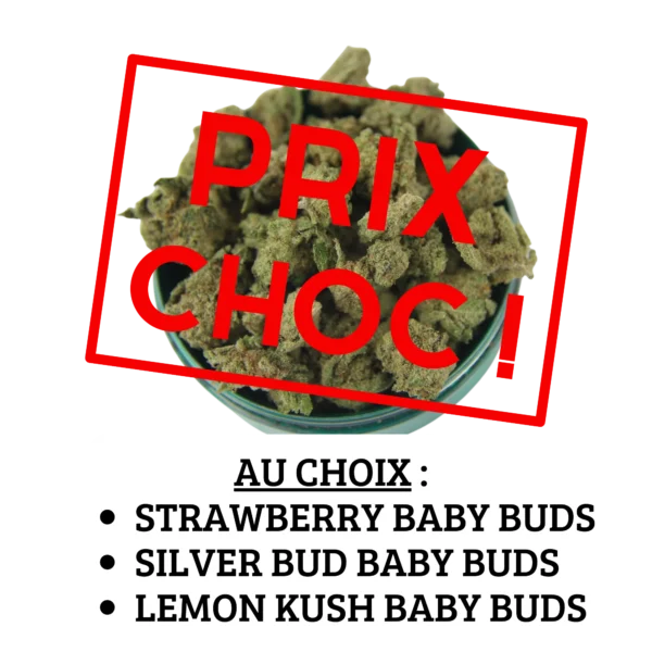 BABY BUDS PETIT PRIX ! Strawberry, Silver Bud ou Lemon Kush au choix