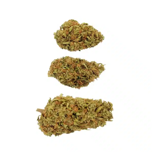 PINARD Treibhauseffekt CBD - Franséisch Varietéit
