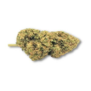 BISCOTTI BOY&#39;S - Cali Flowers CBD