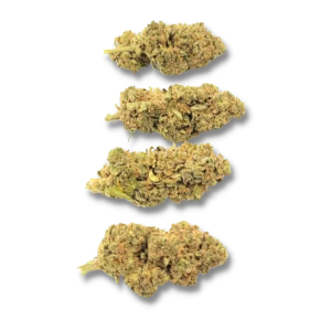 SKYWALKER Greenhouse CBD