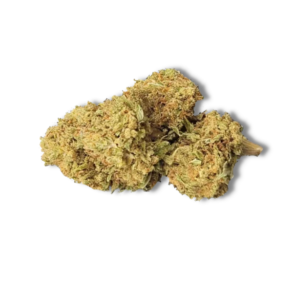 G10 CRD 30% - PROMO -50%