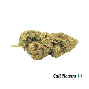 BISCOTTI BOY&#39;S - Cali Flowers CBD