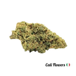 SKITTLEZ Cali Flowers