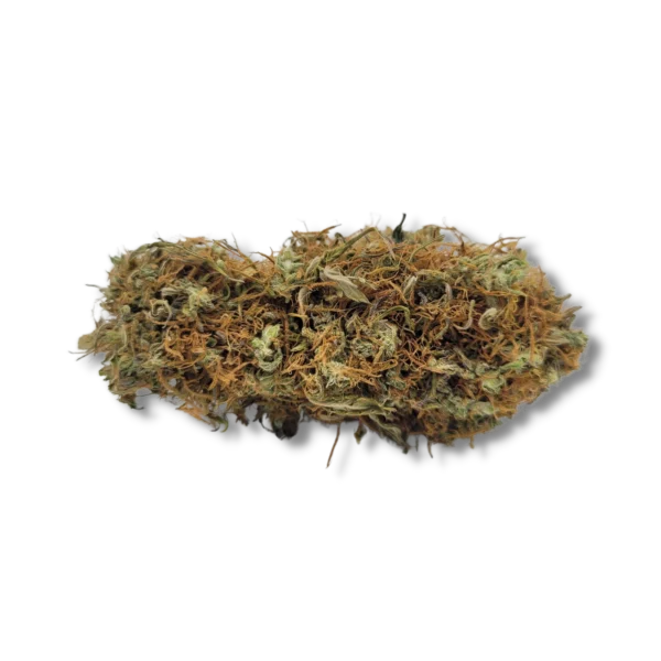 MEXICAN HAZE - Greenhouse CBD