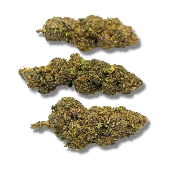 SKITTLEZ +30 % - PROMO -50 %
