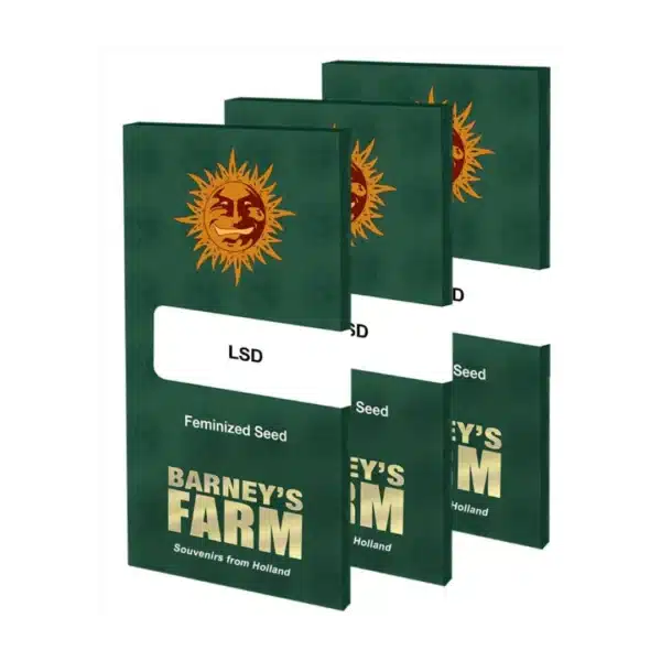 LSD STRAIN - feminized seeds