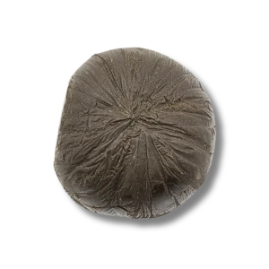 BUBBLE HASH CBD 11,69% CBN 25%