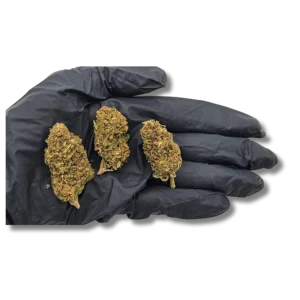 SUNSET SHERBET - Greenhouse CBD PROMO 50%