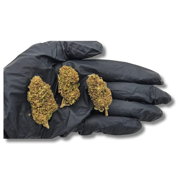 SUNSET SHERBET - Greenhouse CBD PROMO 50%