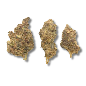 BERRY BLOSSOM CRD 50%