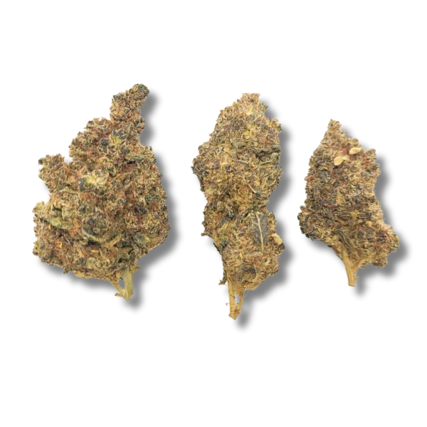 BERRY BLOSSOM CRD 50%