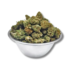 Schnéi WHITE CBD - BABY BUDS