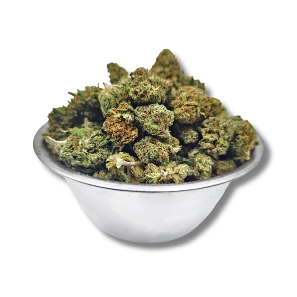 Schnéi WHITE CBD - BABY BUDS