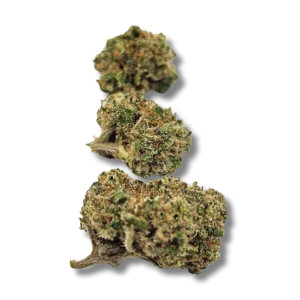 Schnéi WHITE CBD - BABY BUDS