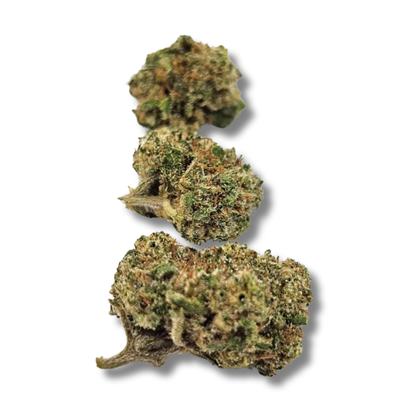 Schnéi WHITE CBD - BABY BUDS