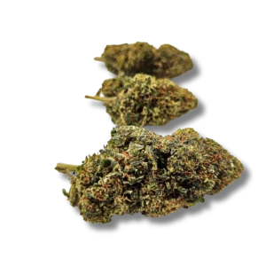 SUGAR PUSSY CRD 50% - PROMO -50%