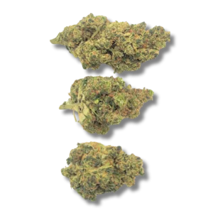 AMNÉSIA CRD 50%