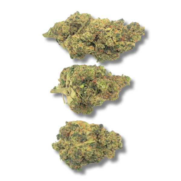 AMNÉSIA CRD 50%