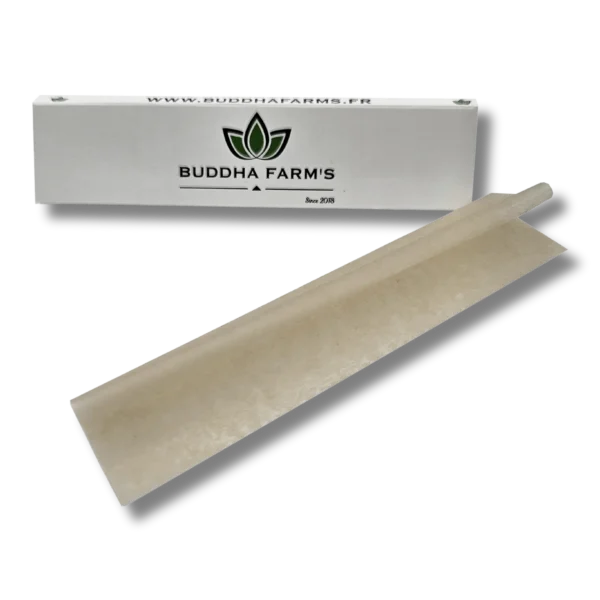 Cartine King Size Slim di Buddha Farm