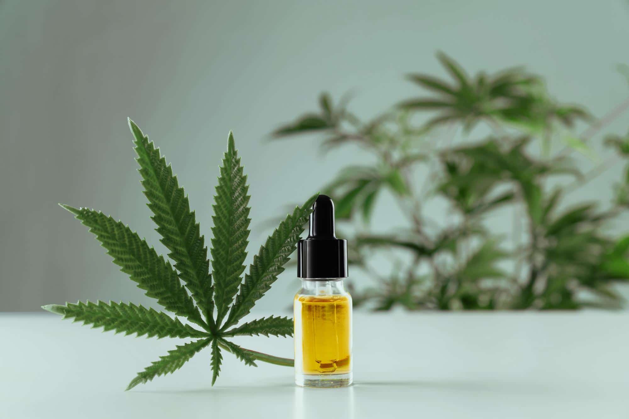 The Different Forms of Consumption of CBD: Advantages and Disadvantages