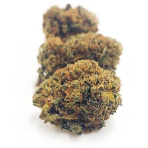 FRAMBOESA - BABY BUDS CBD