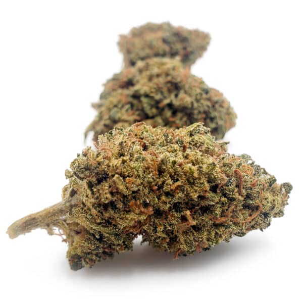 TROPICAL HAZE - BABY BUDS CBD