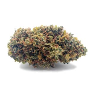 tropical, haze, crd, organic