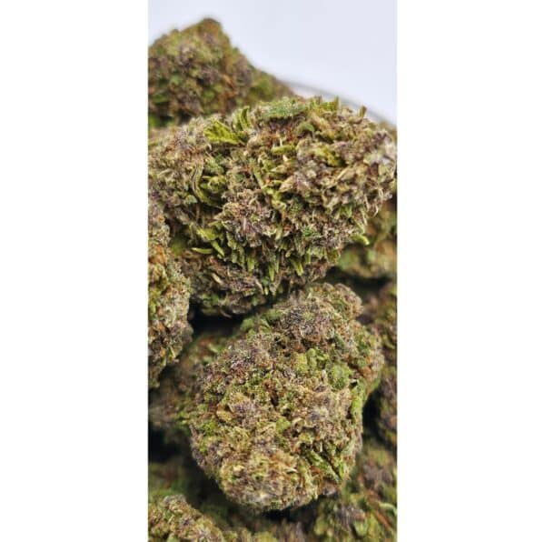 PURPLE THV-N10 15%