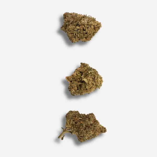 GORILLA GLUE CRD 50%
