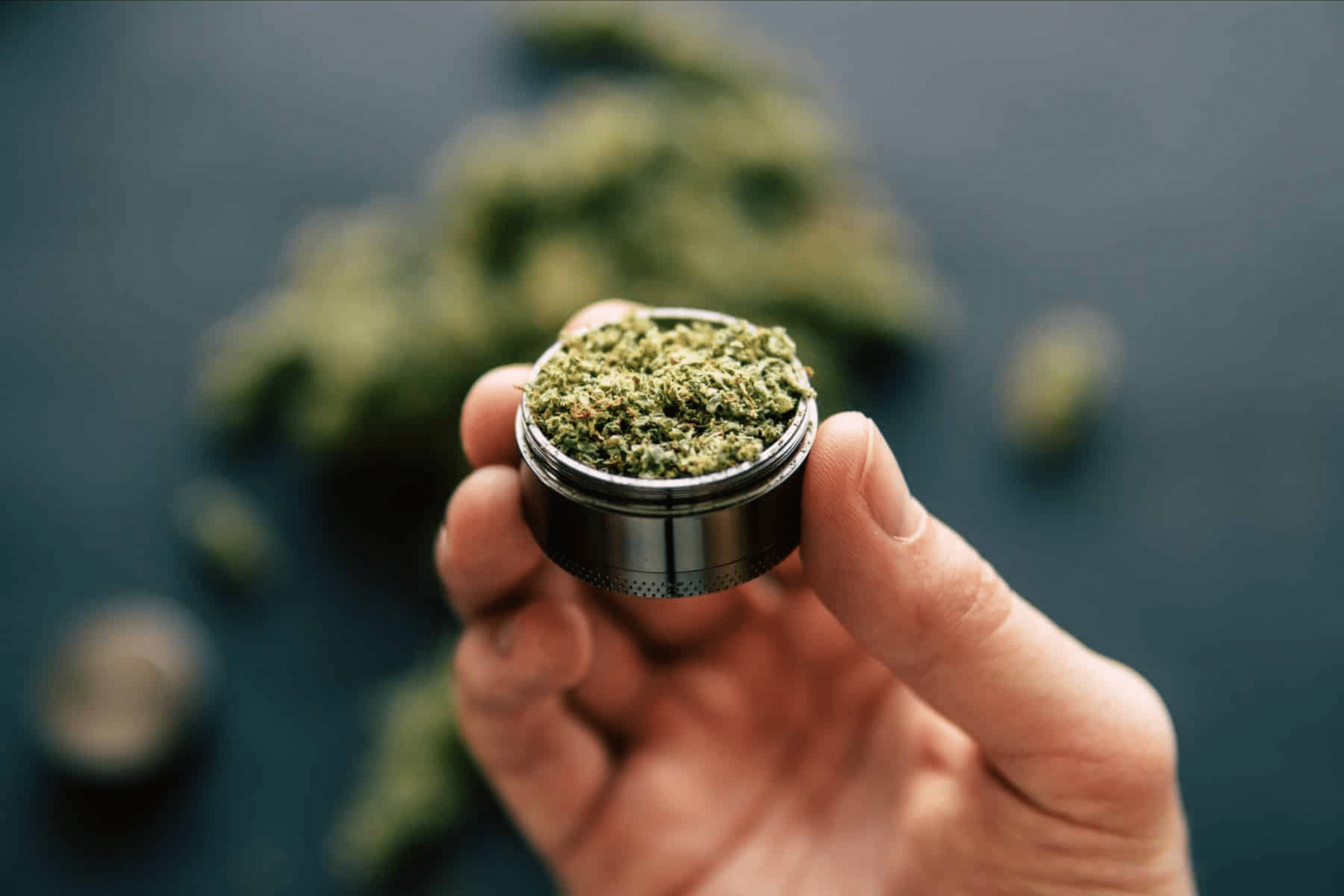 Find out why the tray and the grinder are essential for optimal use of your CBD. Organization, efficiency and pleasure: these accessories transform your experience.