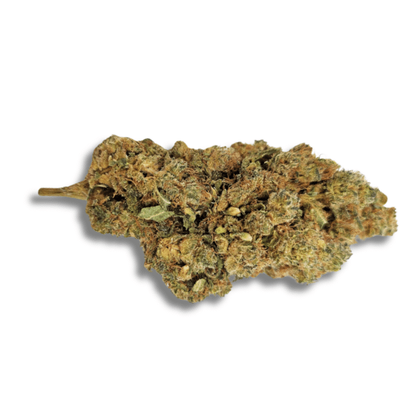 PLUTONIUM THV-N10 25%