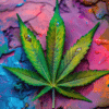 Découvrez le CRD et le THV-N10, deux alternatives légales au HHC proposées par Buddha Farm's CBD Shop. Apprenez tout sur ces cannabinoïdes innovants, leurs bienfaits et leur conformité légale. Explorez nos produits testés et approuvés pour une expérience unique et sécurisée.