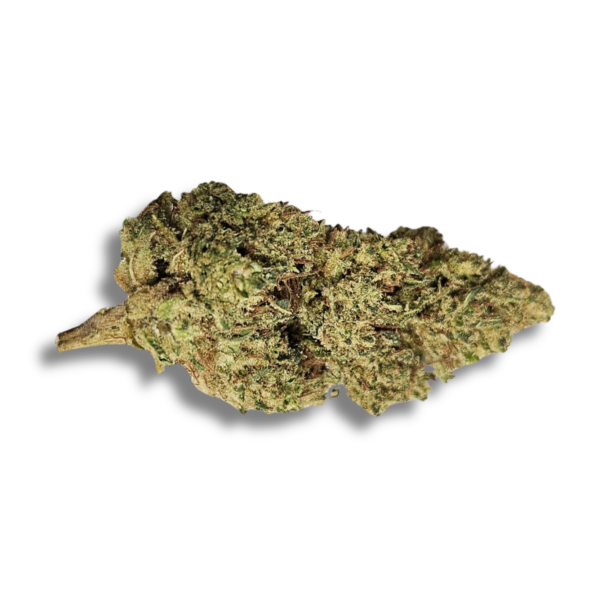 Gelato thv-n10/cpm 20%