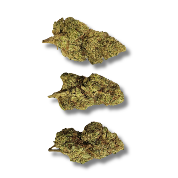 Gelato thv-n10/cpm 20%