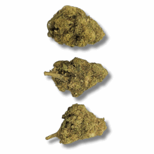 Saurer Lifter thv-n10/cpm 20%