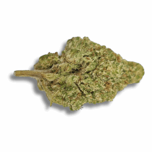 CBX 10% SORBET