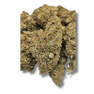 SUPER LEMON HAZE CBX 10%