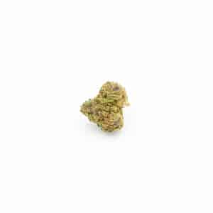 GELATO SMALL BUDS CBX 10%