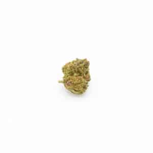 GELATO SMALL BUDS CBX 10%