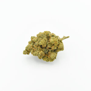 PORNOSTAAR OG D10 3 PORNOSTAAR OG D10