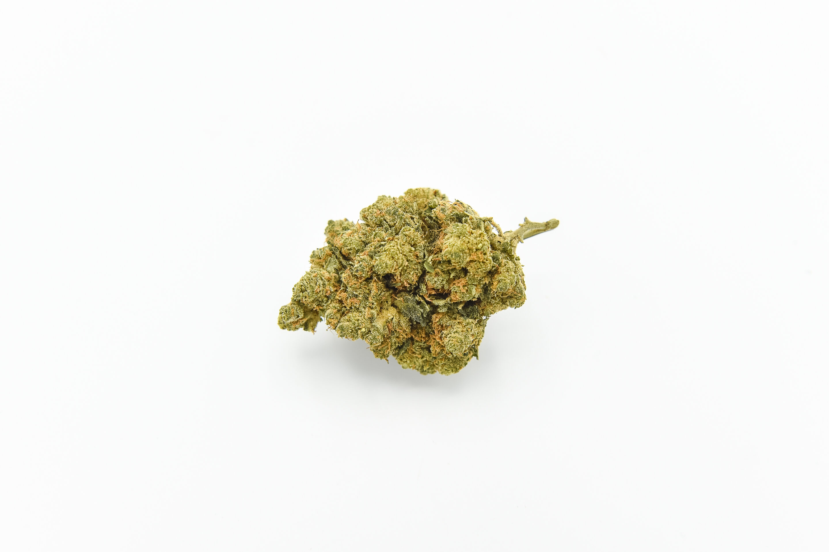 D4S_5215 PORNOSTAAR OG D10