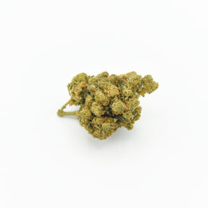 PORNOSTAAR OG D10 2 PORNOSTAAR OG D10