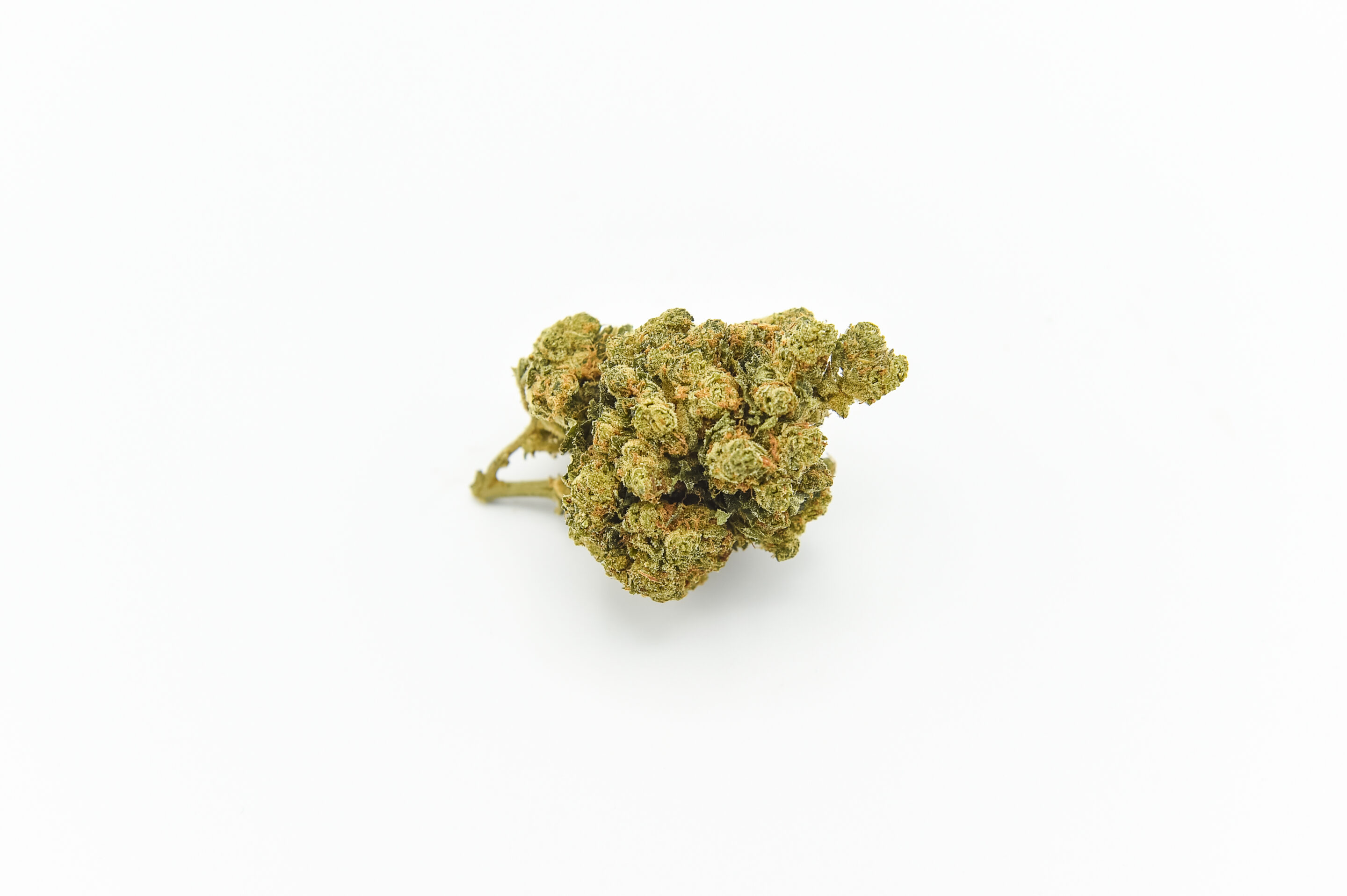 D4S_5218 PORNOSTAAR OG D10