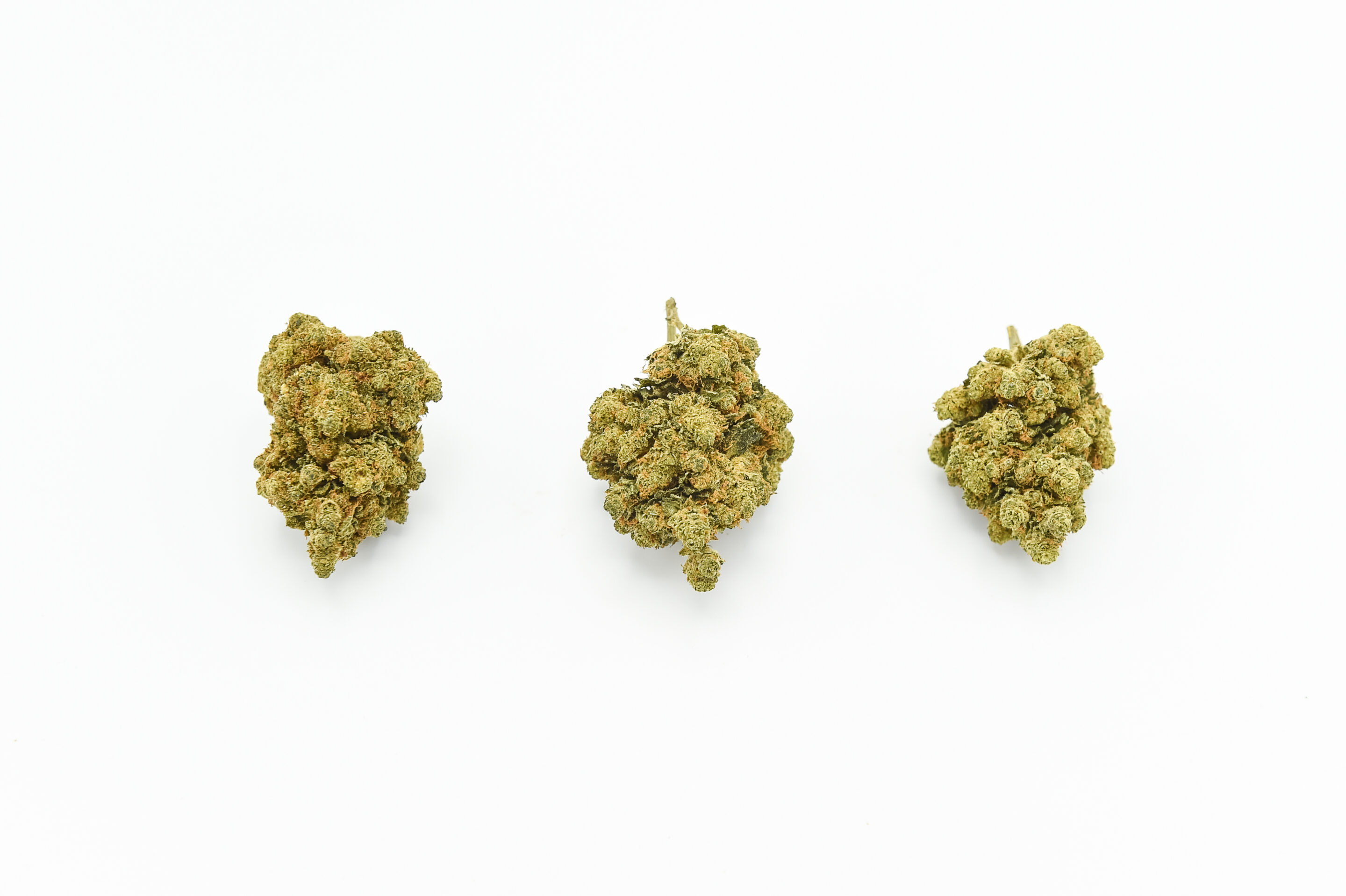 D4S_5225 PORNOSTAAR OG D10