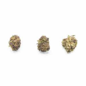 PAARSE KLEINE BUISJES CBD