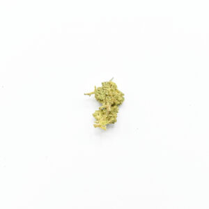 GASOLINA SMALL BUDS CBD
