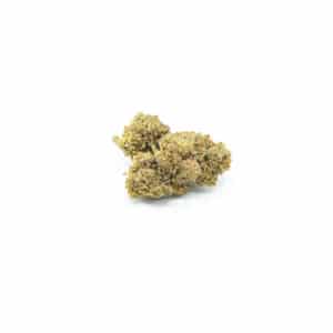 CHEETAH CBS 20%